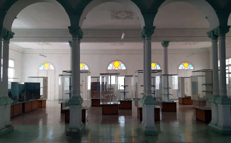 "El museo está en condiciones de abrir sus puertas al público, que de hecho lo reclama bastante" Museo Foto 5