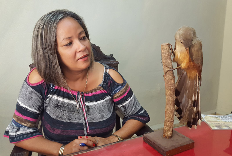 “El intercambio interinstitucional de piezas no es la práctica habitual”. Museo Foto 8