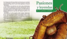 Leer más...