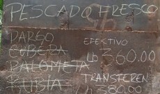 Leer más...
