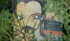 Leer más...