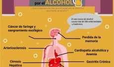 Leer más...