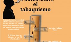 Leer más...