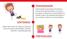 Leer más...