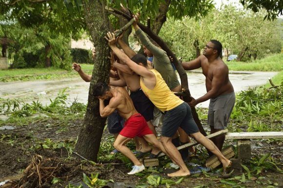 Les CDR ont été les moteurs de la participation populaire aux travaux de reconstruction après le passage de l'ouragan Irma.