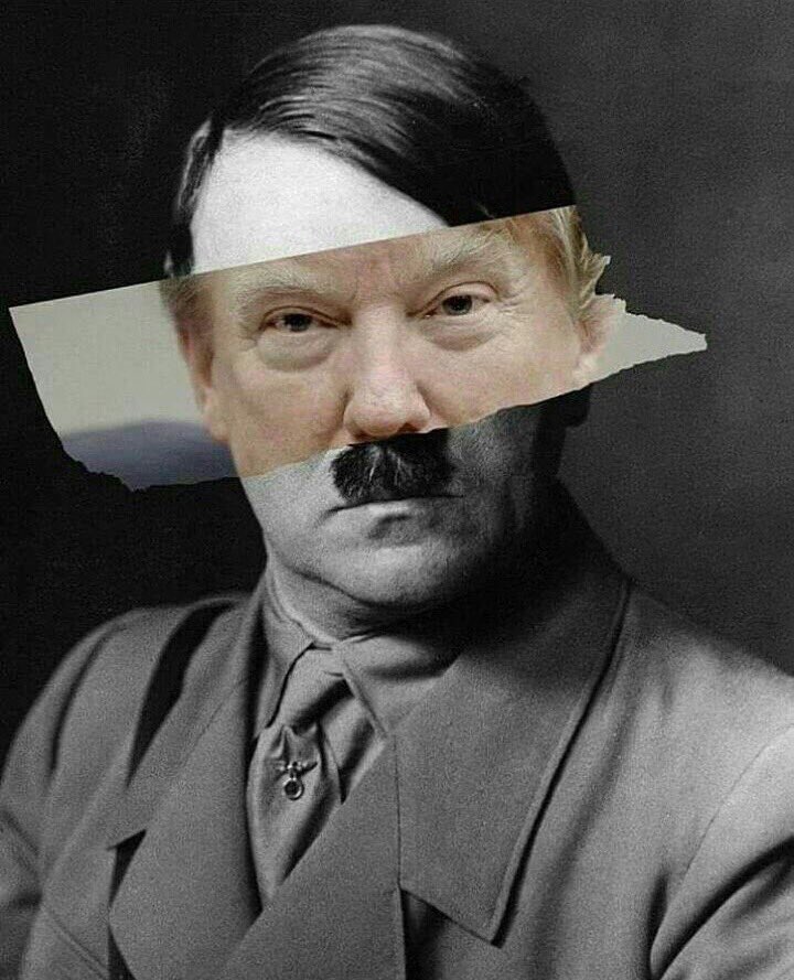 TRUMP HITLER