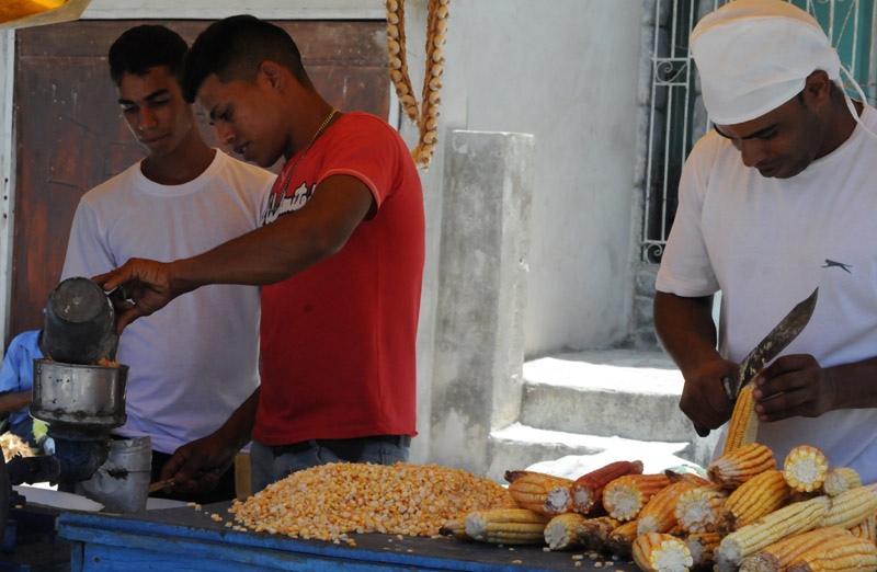 carnaval alamos 4