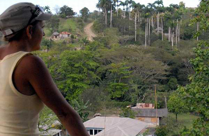 cayo mambi 3