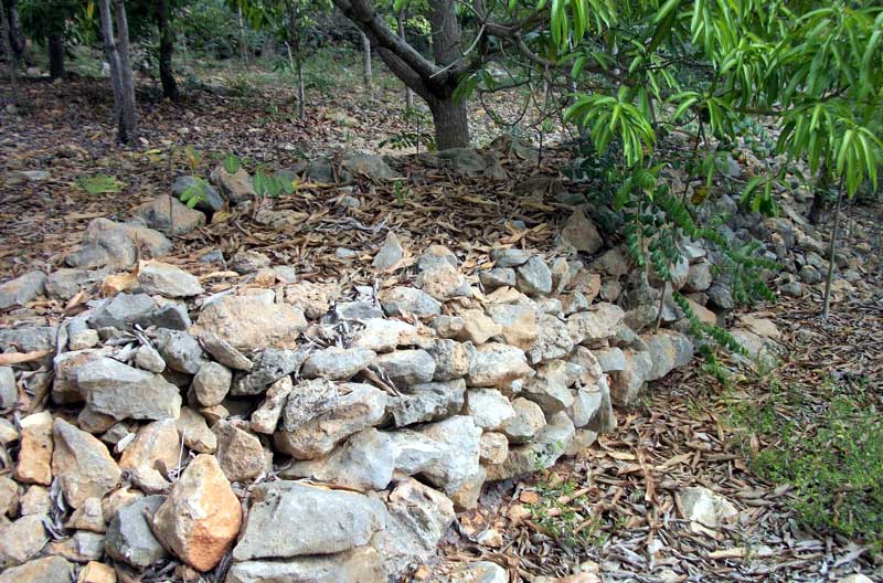 finca nine 2