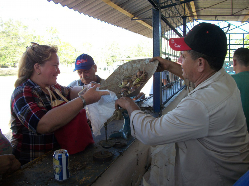 Fotos: Del Autor