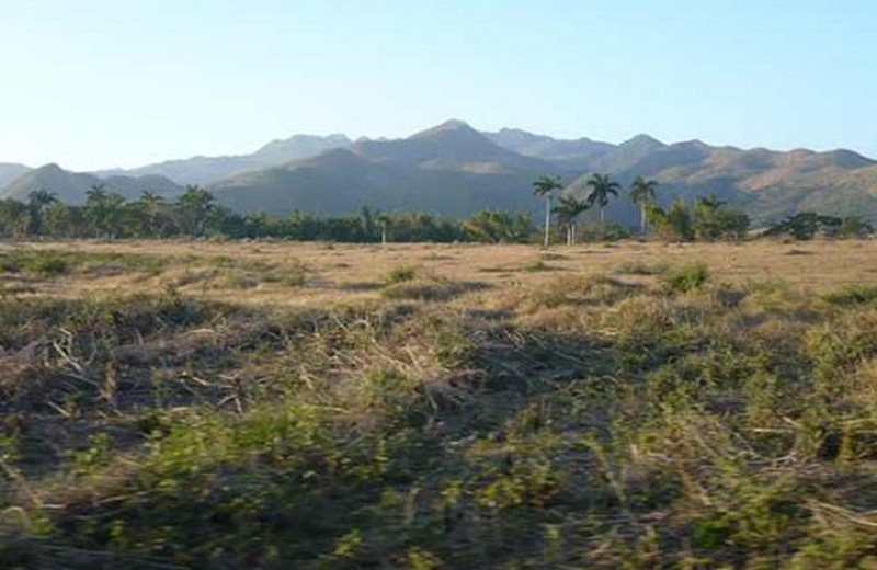 ociosidad tierras 2