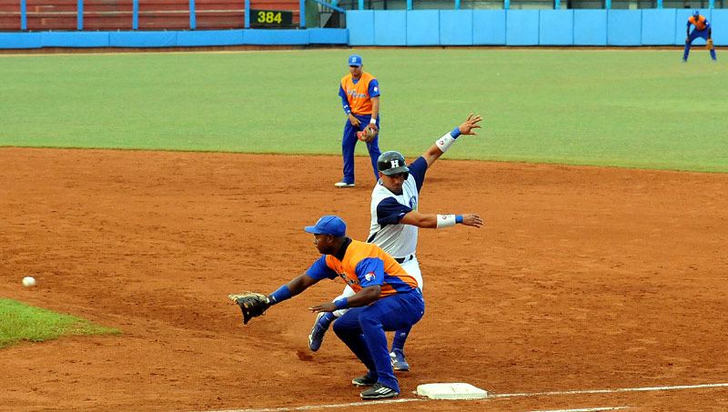 Fotos: Carlos Rafael cachorros gallos 3