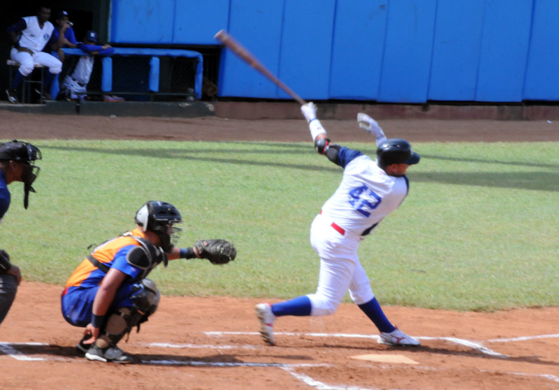 cachorros gallos manduley