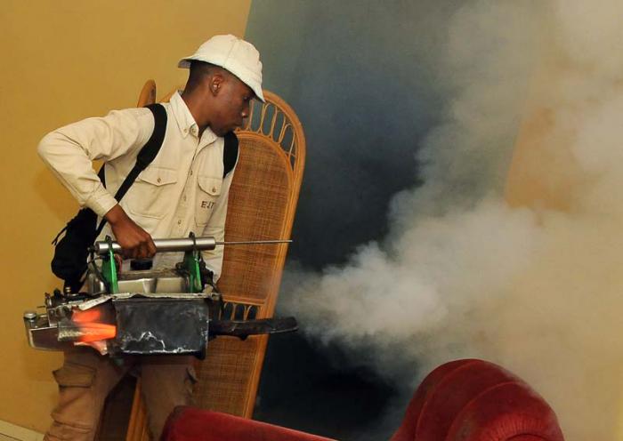 campana mosquito 1