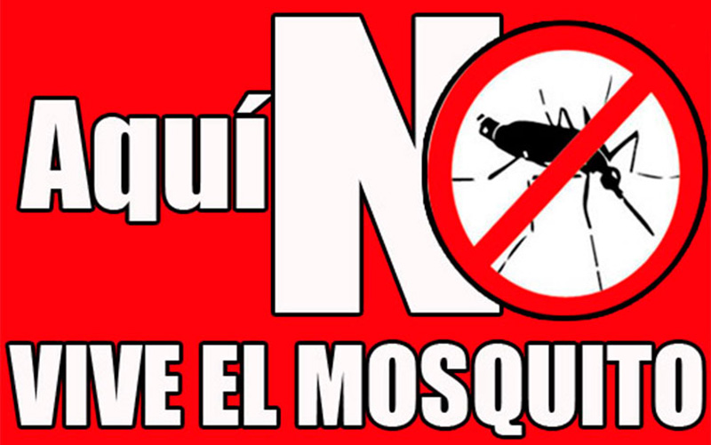 mosquito cartel minsap larg