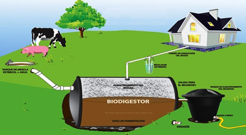 Biodigestor