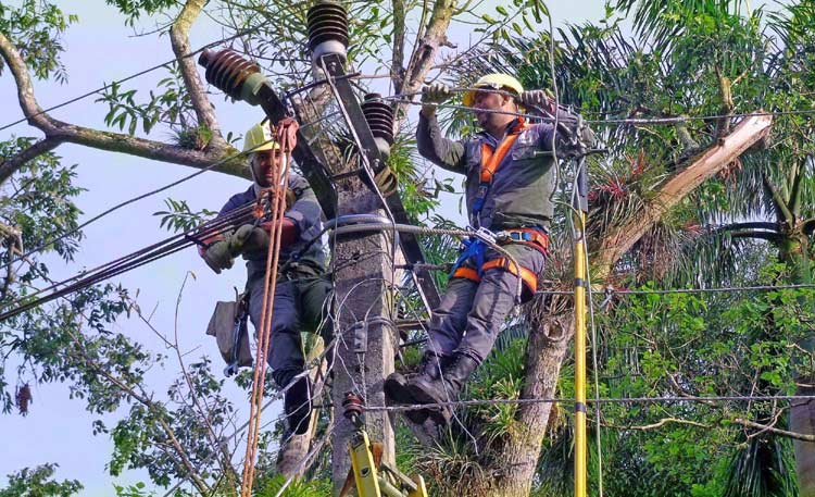 Empresa eléctrica 3