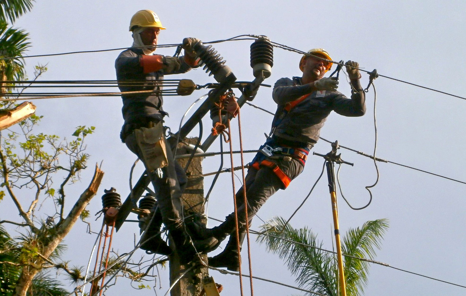 Fotos: ACN Sector electrico 2