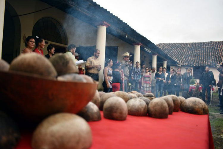 Photos: Ernesto Herrera Taller Arte Cult 1
