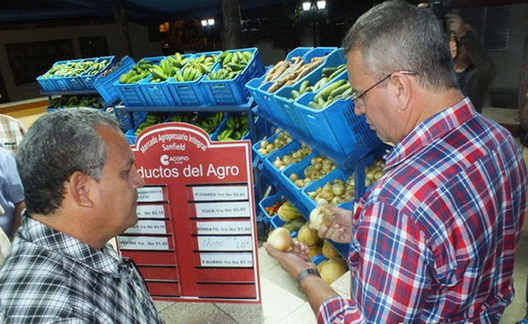 Fotos. Lisandra Cardoso