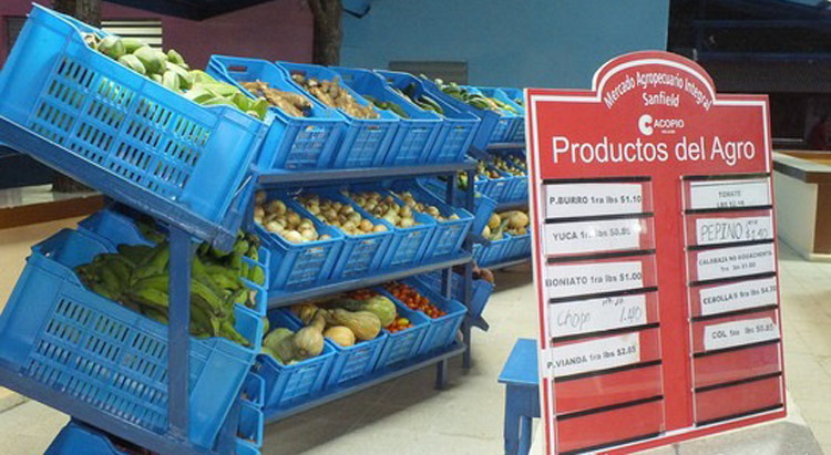 visita ministro mercado 3