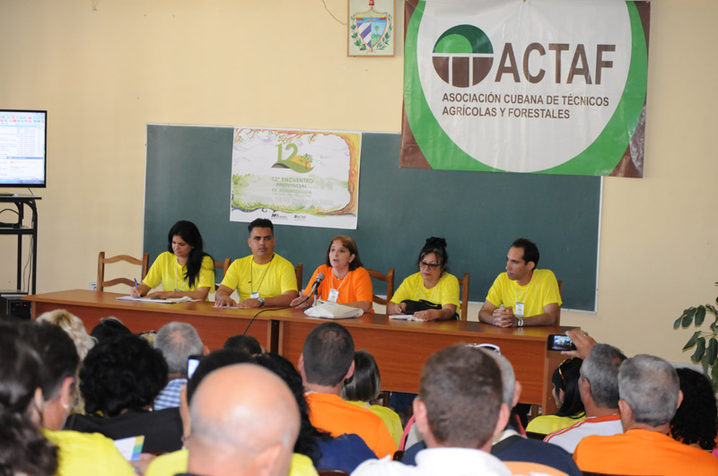 actaf 1