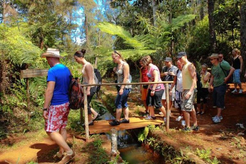 salto del guayabo 2