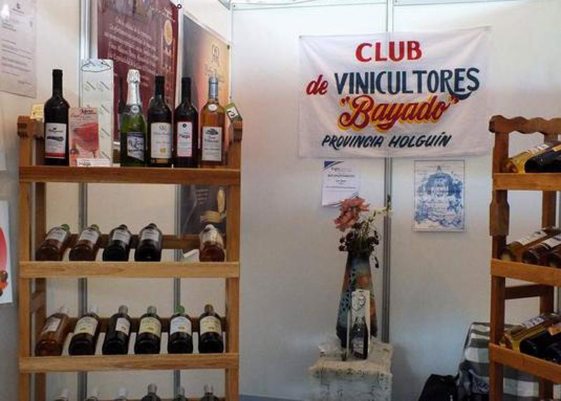Photo: Lisandra Cardoso vinos club bayado