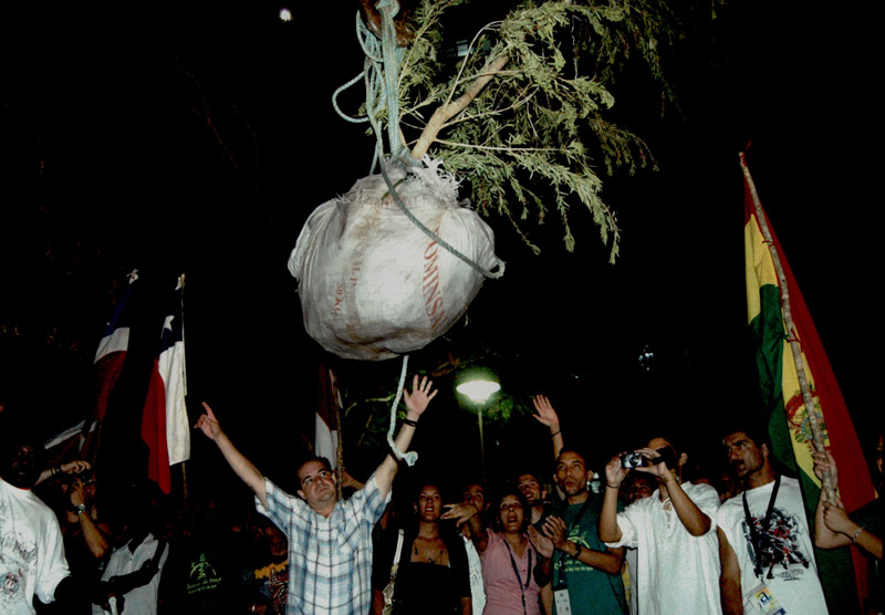 Romerias 2018 Siembra del arbol 2009