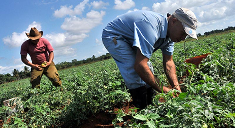 agricultura jovenes 2