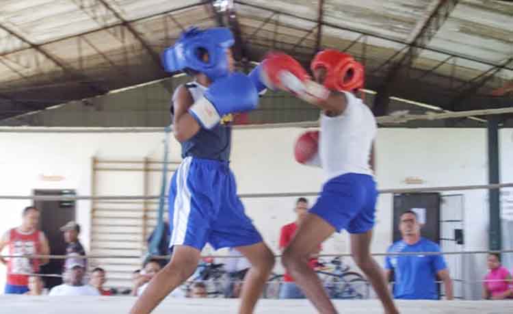 boxeoescolares