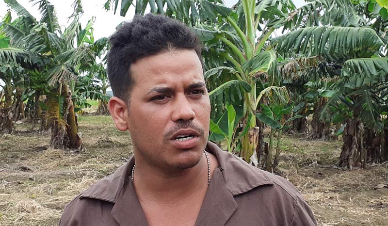 “El orgullo más lindo es desde que uno siembra una mata verla nacer y de ahí uno la forma, echarle el orgánico, echarle su agua...." Agricultor banense 02