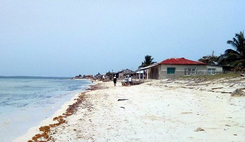 Development plans include the construction of a camping facility at Morales Beach. Photo: Radio Banes Banes Playa Morales