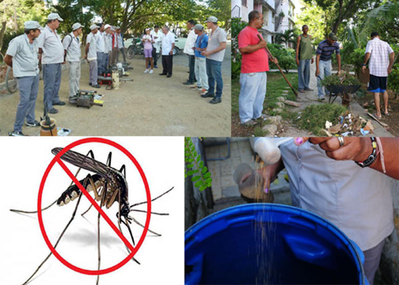 Es esencial ganar la batalla para disminuir la focalidad producida por el Aedes aegypti y cortar la transmisión de arbovirus Contra el aedes