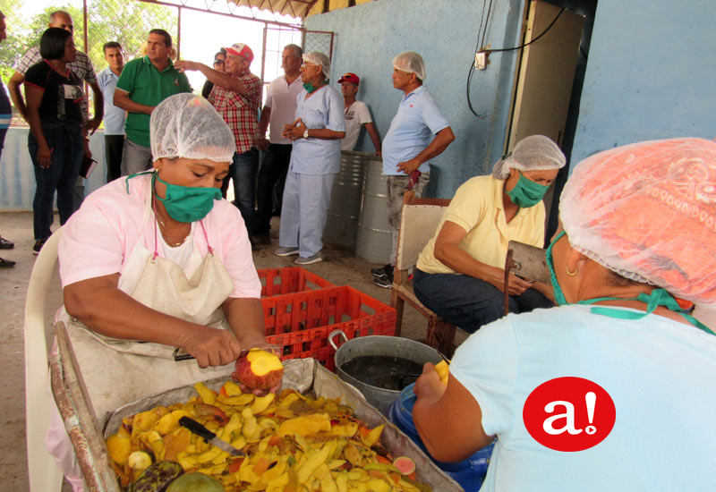 La minindustriia de "La Escondida" produce pequeñas cantidades pulpas de mango de forma manufacturada. Fotos: Alexis del Toro. Rec Freyre Mini industria