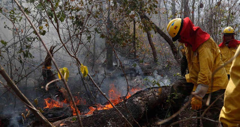 incendioamazonia