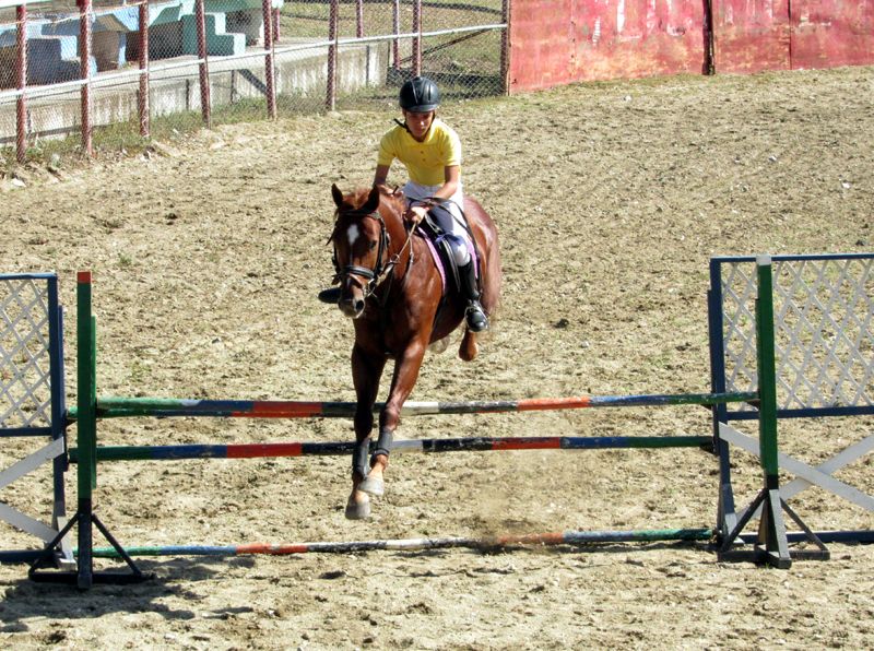 FERIA 3