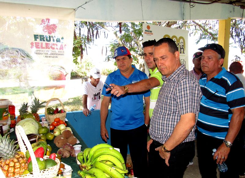 FERIA 6