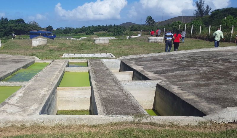 Sistema de tratamiento de aguas residuales de la UEB Porcina Cría Moa. Moa Desarrollo integral 01