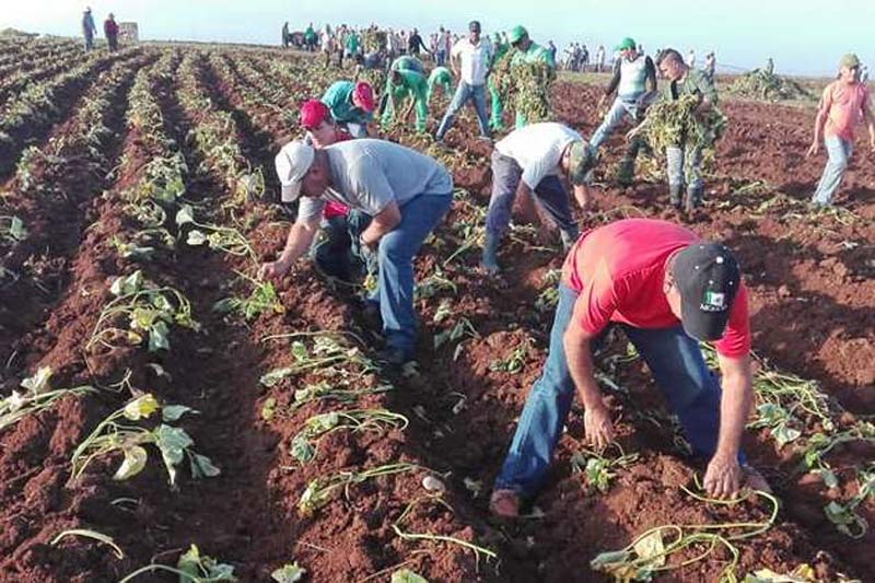 agricultura estudiantes