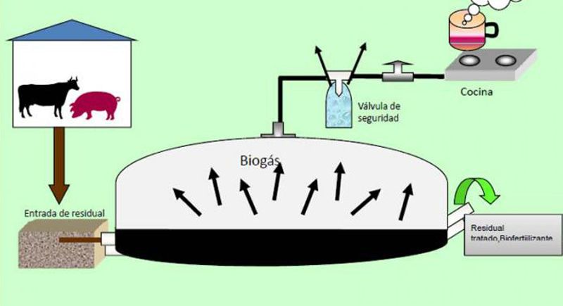 biogas hg