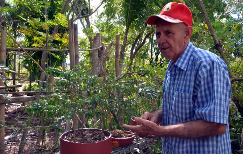Juan Millet es un apasionado cultivador y guardián de plantas juan millet 1