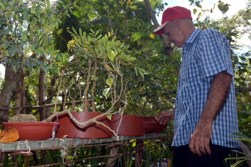 Para el teniente coronel (r) Millet sus plantas son un tesoro juan millet 4