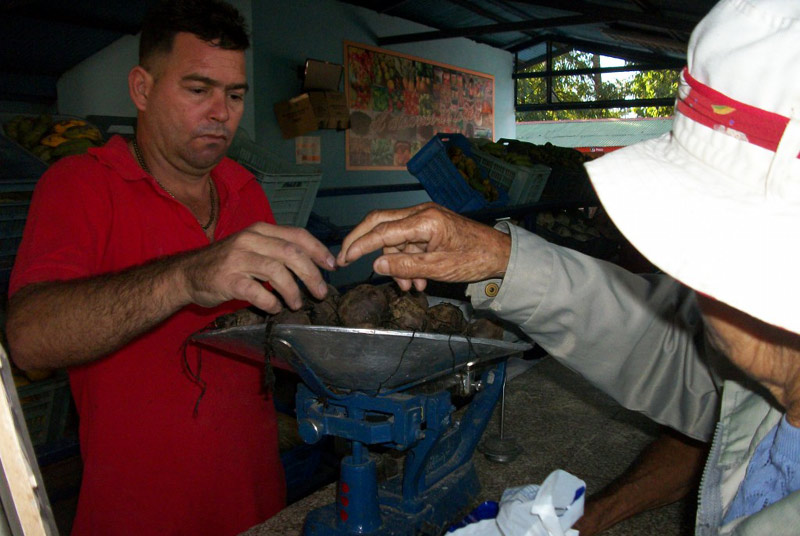 mercado sanfield 4