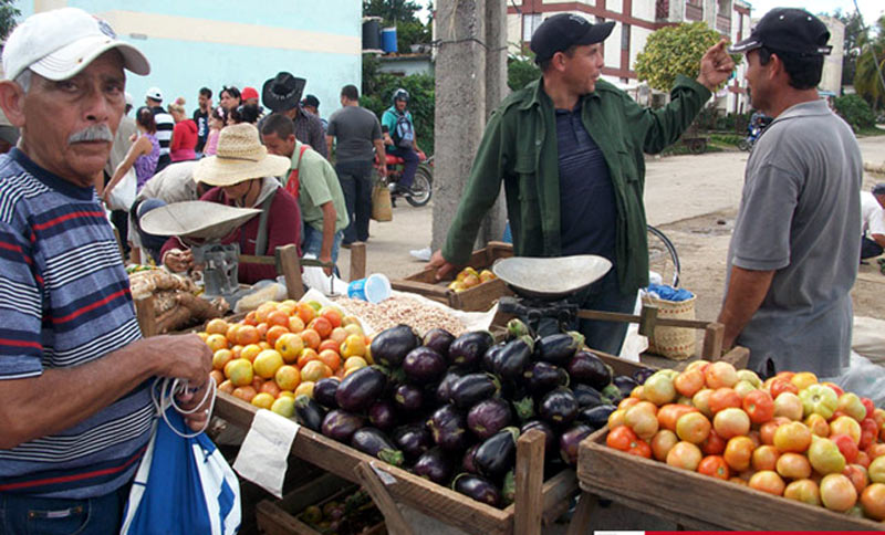 Foto: visiondesdecuba productos agro hg