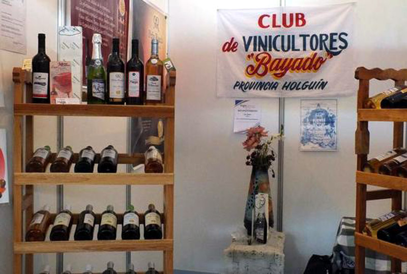 Gran variedad de vinos holguineros proceden de productores del Club Bayado. /Fotos: Carlos Rafael y Lisandra Cardoso vinicultores festival hg 1