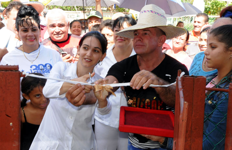 Consultorio pedernales2