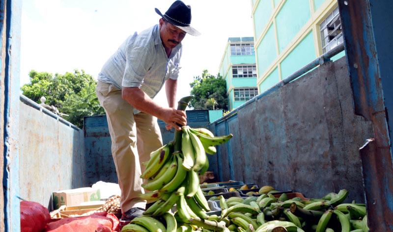 pediatrico donativo 1