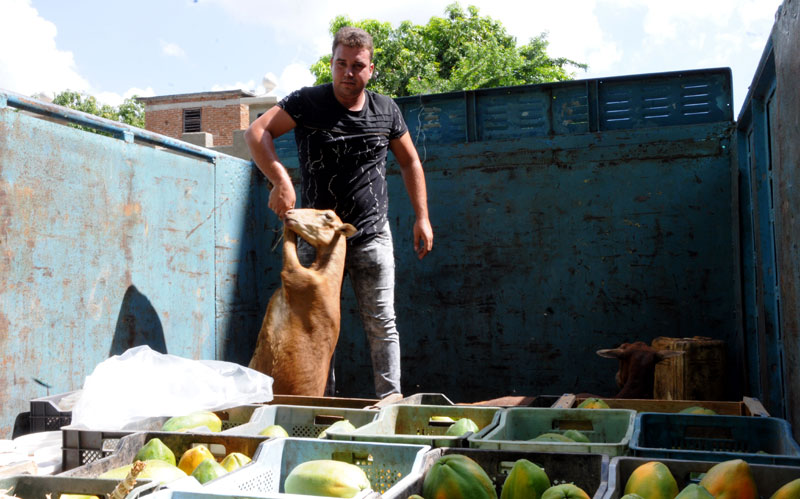 pediatrico donativo 2