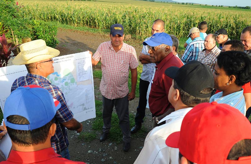 Valdés Mesa recorrió áreas sembradas de diversos cultivos Salvador Valdes recorr 4